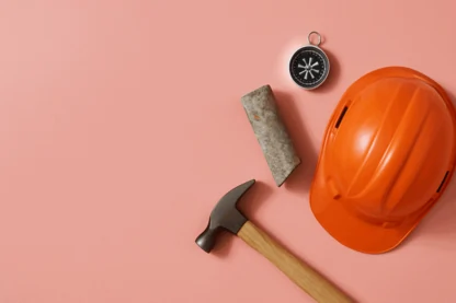 Previous Article Image