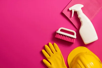 Previous Article Image