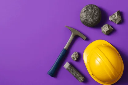 Previous Article Image