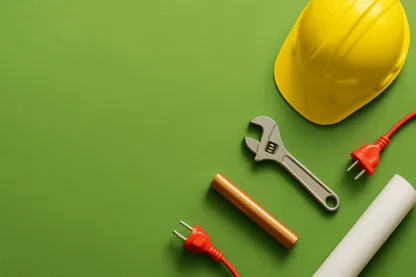 Previous Article Image