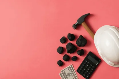 Previous Article Image