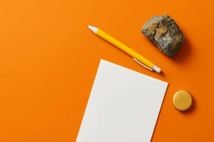 Previous Article Image