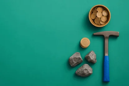 Previous Article Image