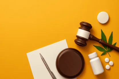 Previous Article Image