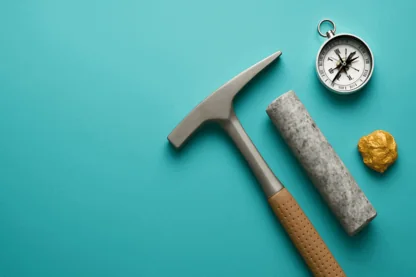 Previous Article Image