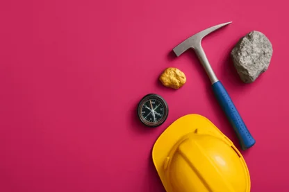 Previous Article Image