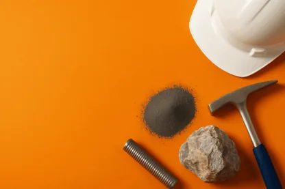 Previous Article Image