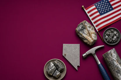 Perpetual targets US funding for Nevada tungsten project