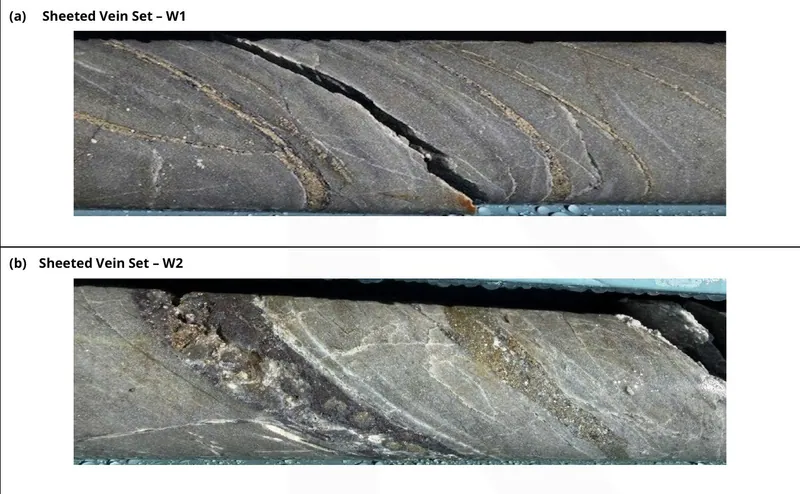 Selected core photos showing vein sets with sulphides (pyrite, sphalerite, galena, +/- chalcopyrite), quartz +/- carbonate, +/- sericite, +/- clay minerals: (a…