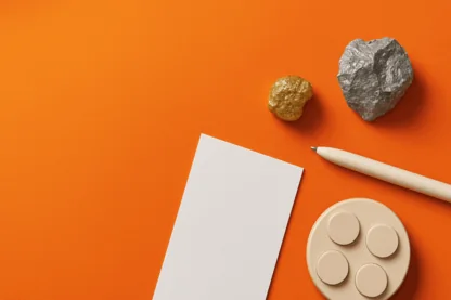 Previous Article Image