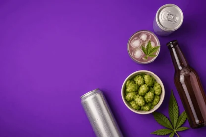 Previous Article Image