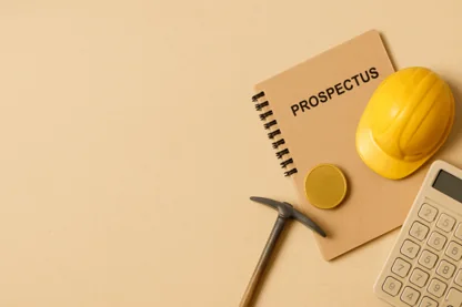 Previous Article Image