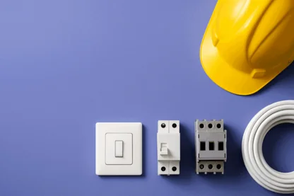 Previous Article Image