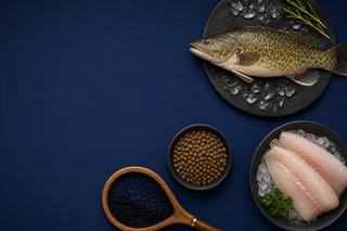 Murray Cod Australia Launches $18.6m Entitlement Offer to Monetise Biomass