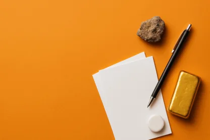 Previous Article Image