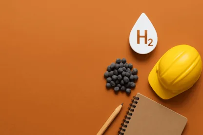 Previous Article Image