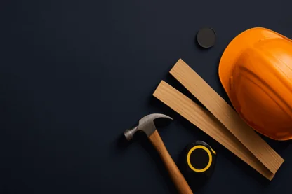 Previous Article Image