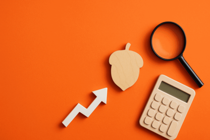 Acorn Capital Investment Fund Surges with 306% Revenue Growth and 3.5c Dividend