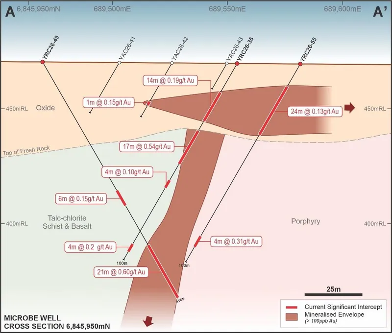Microbe Well Cross Section 6,845,950mN