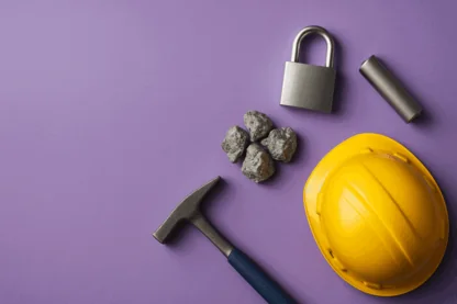 Previous Article Image