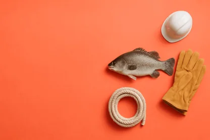 Previous Article Image