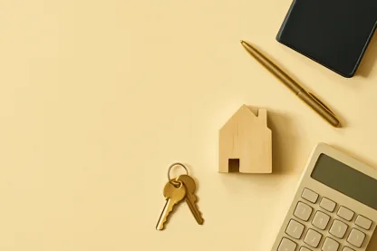 Previous Article Image