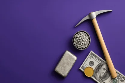 Previous Article Image