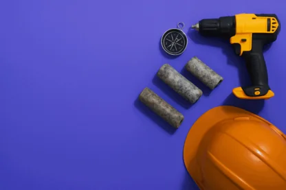 Previous Article Image