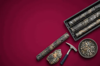 Previous Article Image