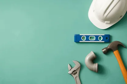 Previous Article Image