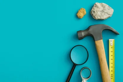 Previous Article Image