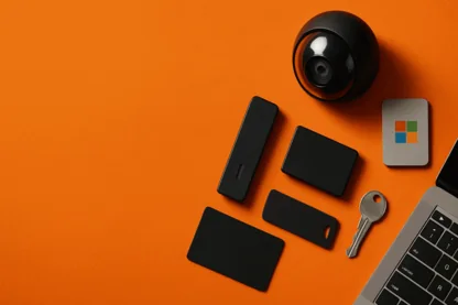 Previous Article Image