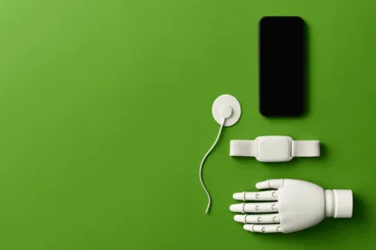 Previous Article Image