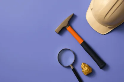 Previous Article Image