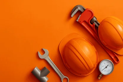 Previous Article Image