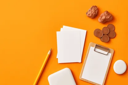 Previous Article Image