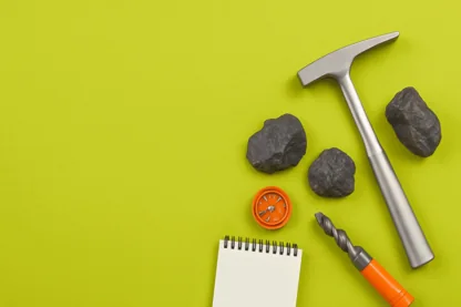 Previous Article Image