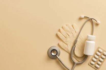 Previous Article Image