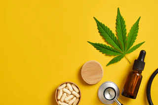Little Green Pharma and Cannatrek Set to Forge Medicinal Cannabis Powerhouse