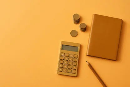 Previous Article Image