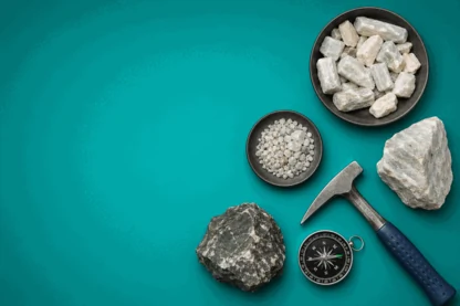 Previous Article Image