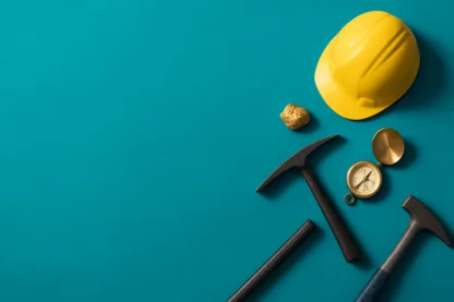 Previous Article Image