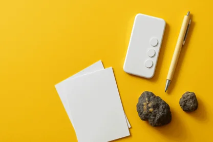 Previous Article Image