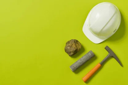 Previous Article Image