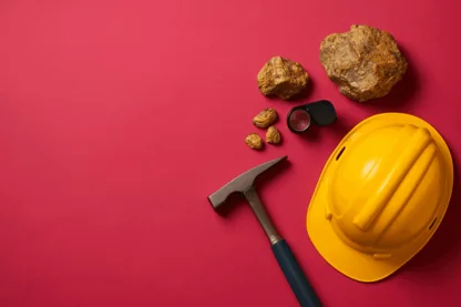 Previous Article Image