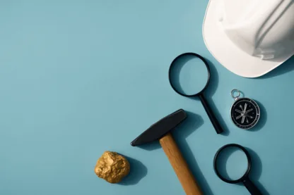 Previous Article Image