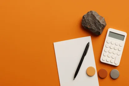 Previous Article Image