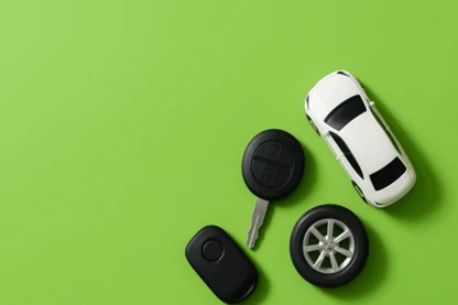 Previous Article Image