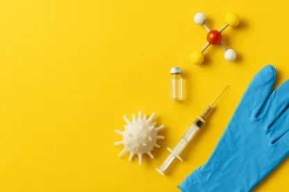 Previous Article Image