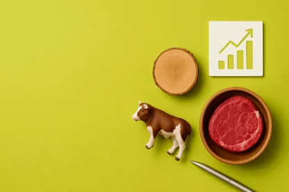 Previous Article Image